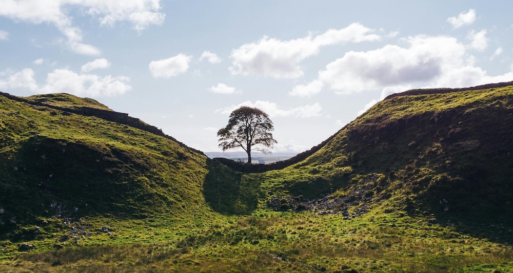 Sycamore Gap
